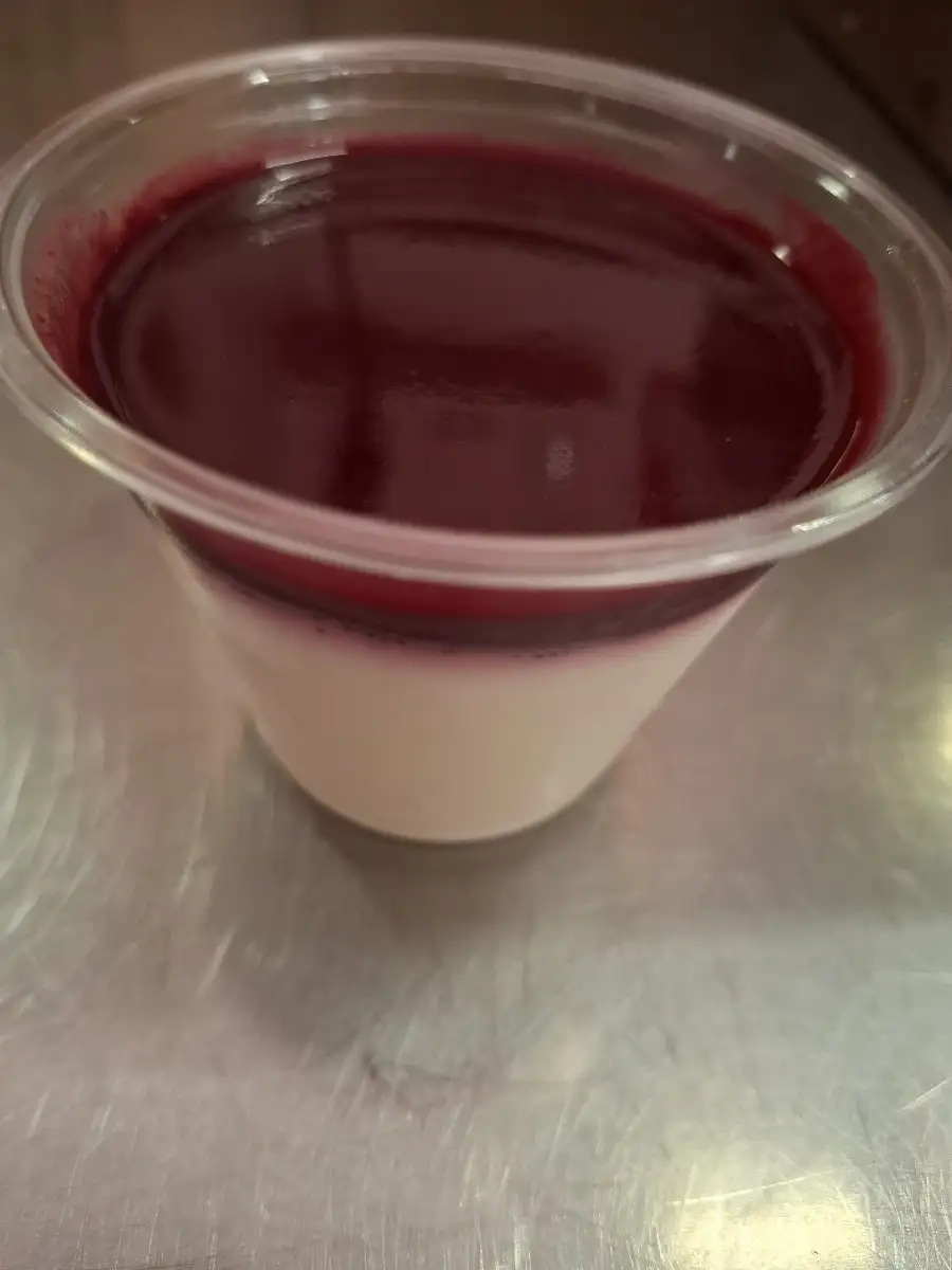 Panna cotta / abricot